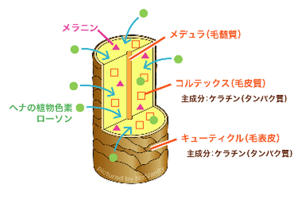 ヘナカラー